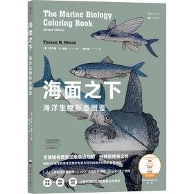 海面之下：海洋生物形态图鉴（一本可以涂色的海洋科普书）