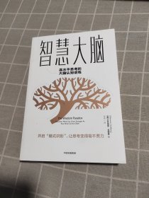 智慧大脑：高水平思考的大脑认知训练