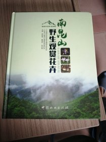 南昆山野生观赏花卉