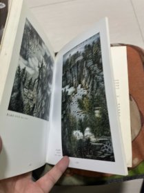 当代中国画家研究丛书.曾先国、李健强绘画作品、中国书画名家 合售