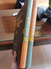 中华文明通史图鉴（上下册）（全两册）