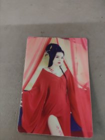 美女写真艺术单面钱包式卡片照片12片24041658