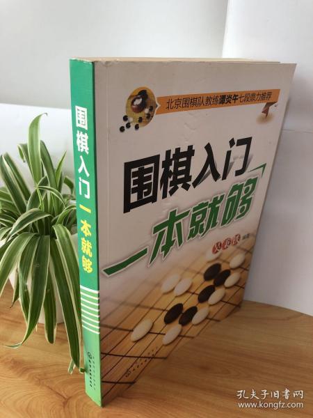 围棋入门一本就够