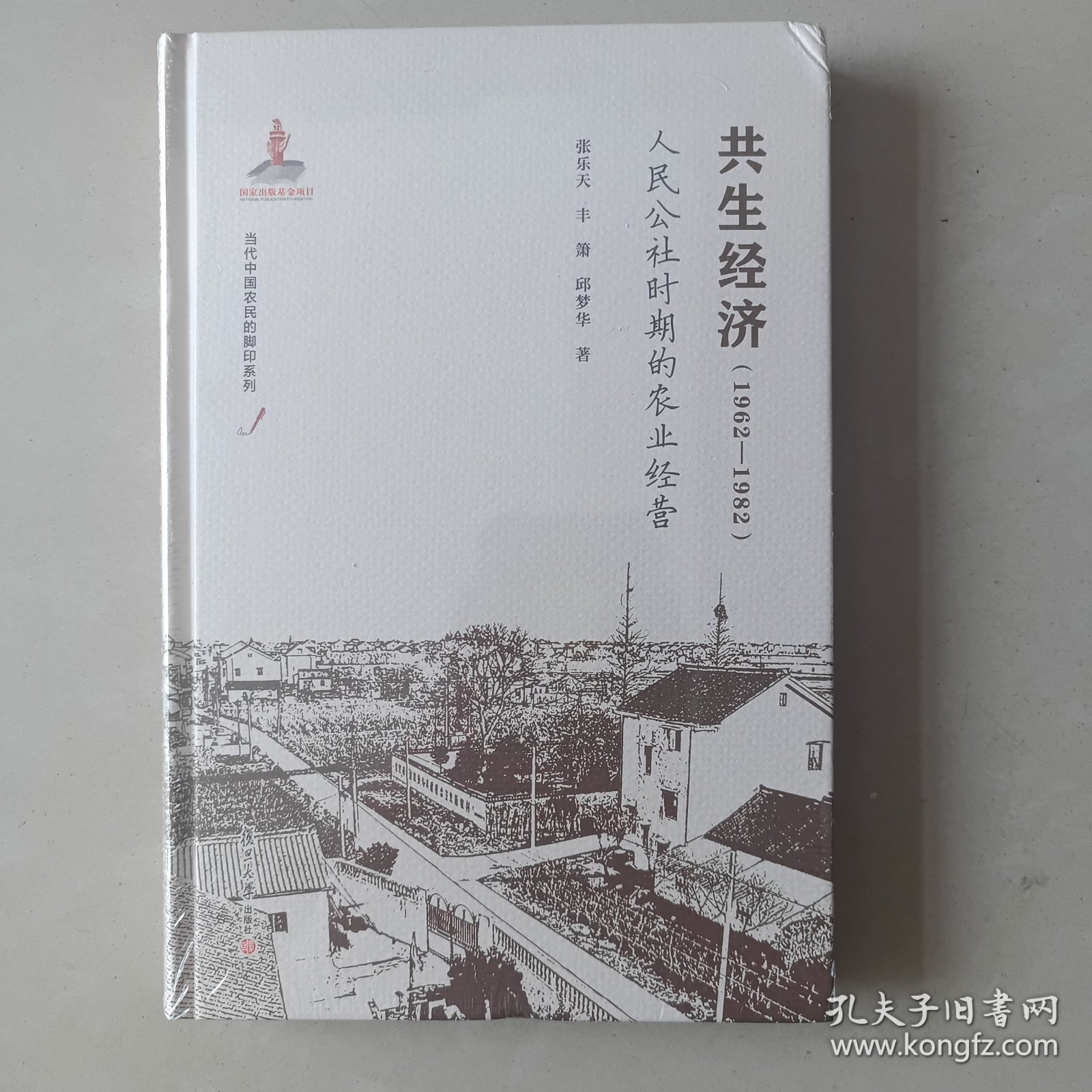 共生经济（1962-1982）人民公社时期的农业经营