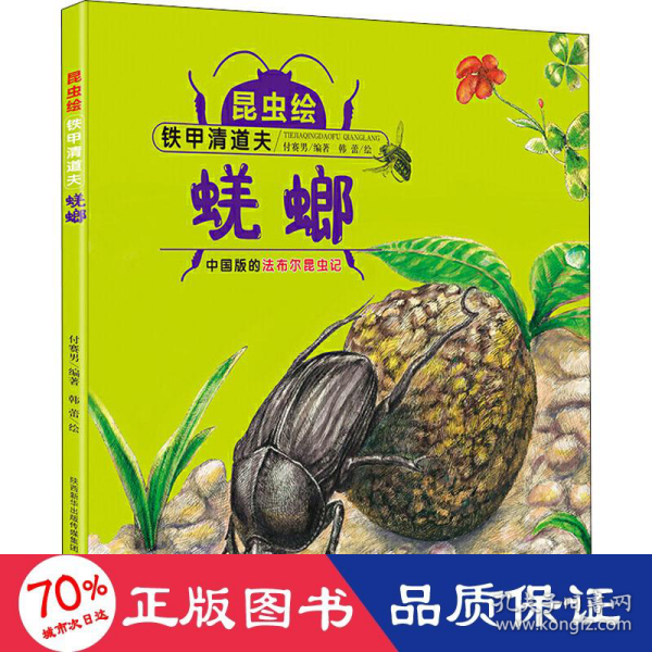 昆虫绘 蜣螂