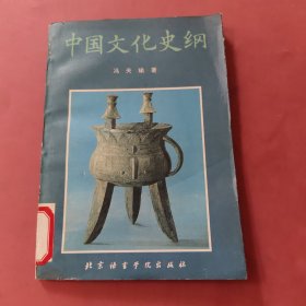 中国文化史纲