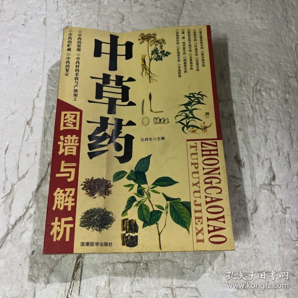 中草药图谱与解析