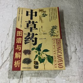 中草药图谱与解析