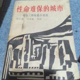 性命难保的城市