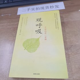 观呼吸：平静的第一堂课