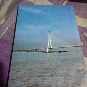 南京三桥论文集