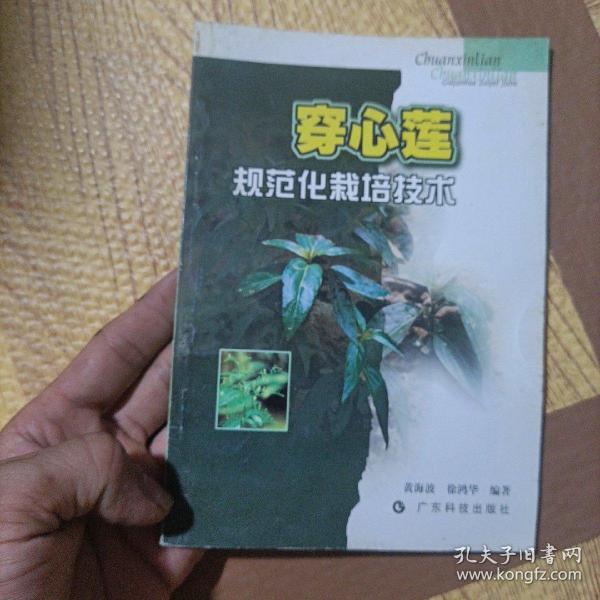 穿心莲规范化栽培技术