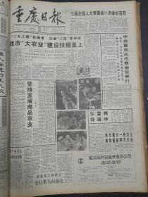 重庆日报1993年3月10日