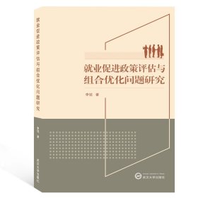 就业促进政策评估与组合优化问题研究