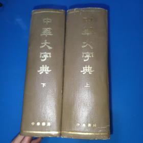 《中华大字典》上下