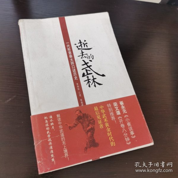 逝去的武林：一代形意拳大师口述历史