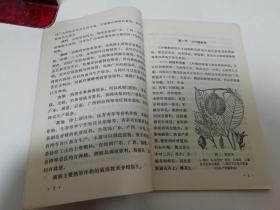 热带作物栽培‘农业生产基本知识’（彩画封面多插图，农业出版社改编，1974年初版）2022.6.2日上