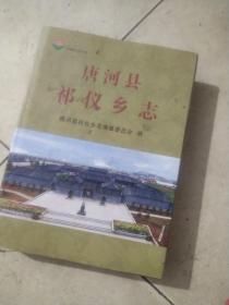 唐河县祁仪乡志