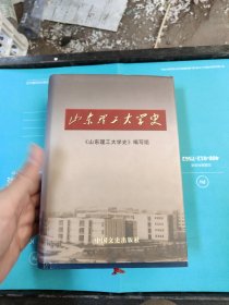 山东理工大学史:1956-2005