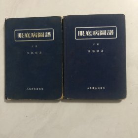 眼底病圖譜上下册（7架）
