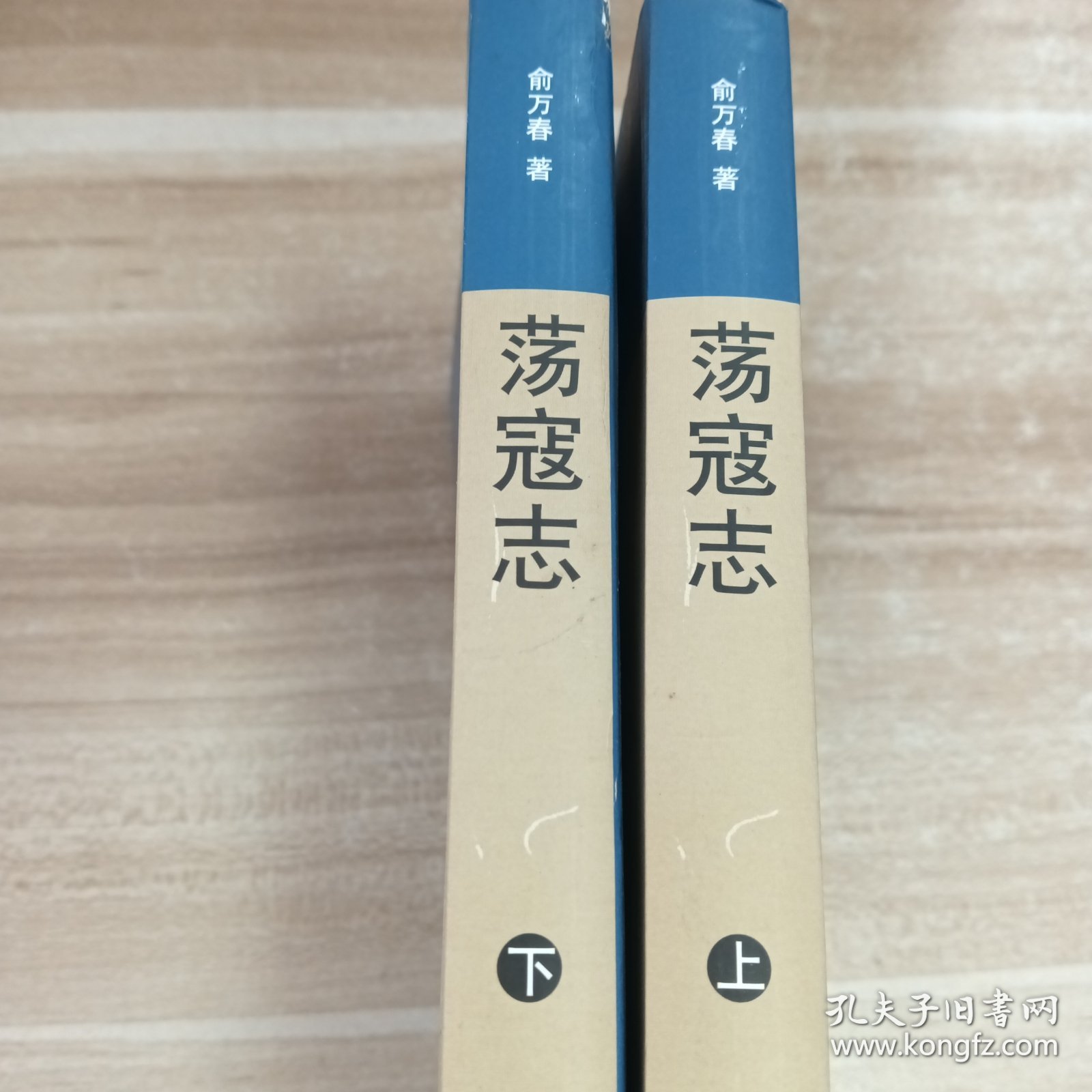 荡寇志(上下)