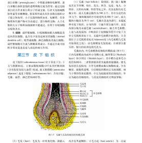 皮肤病学(案例版）