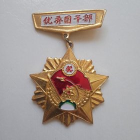 老奖章·北京大学团委(优秀团干部)