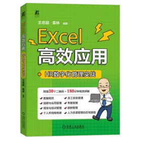 正版 Excel高效应用：HR数字化管理实战 王忠超 袁林 机械工业出版社