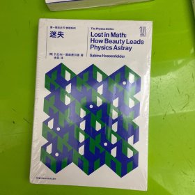 第一推动丛书物理系列:迷失