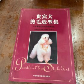 贵宾犬剪毛造型集