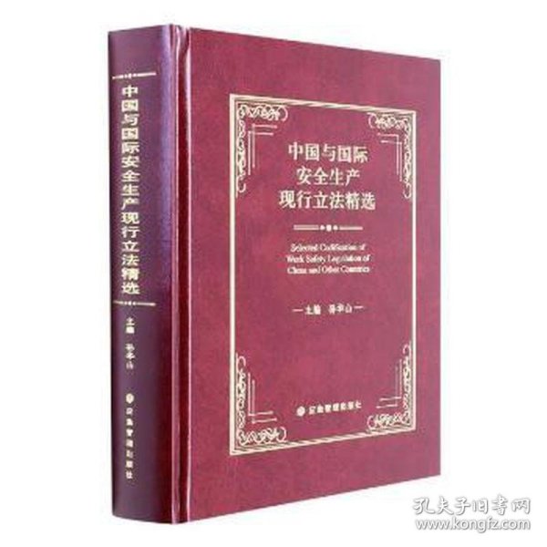 中国与国际安全生产现行立精选(精) 经济理论、法规 孙华山