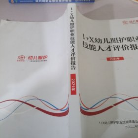 1+X幼儿照护职业技能人才评价报告