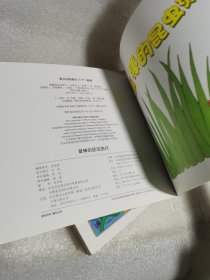 数学启蒙阶段1(套装共8册)《最棒的昆虫游行》《手套不见了》《小小消防队员》《跳跳蜥蜴》《动物上路》、《一双袜子》《女超人麦蒂)》《怪兽大风吹》全套