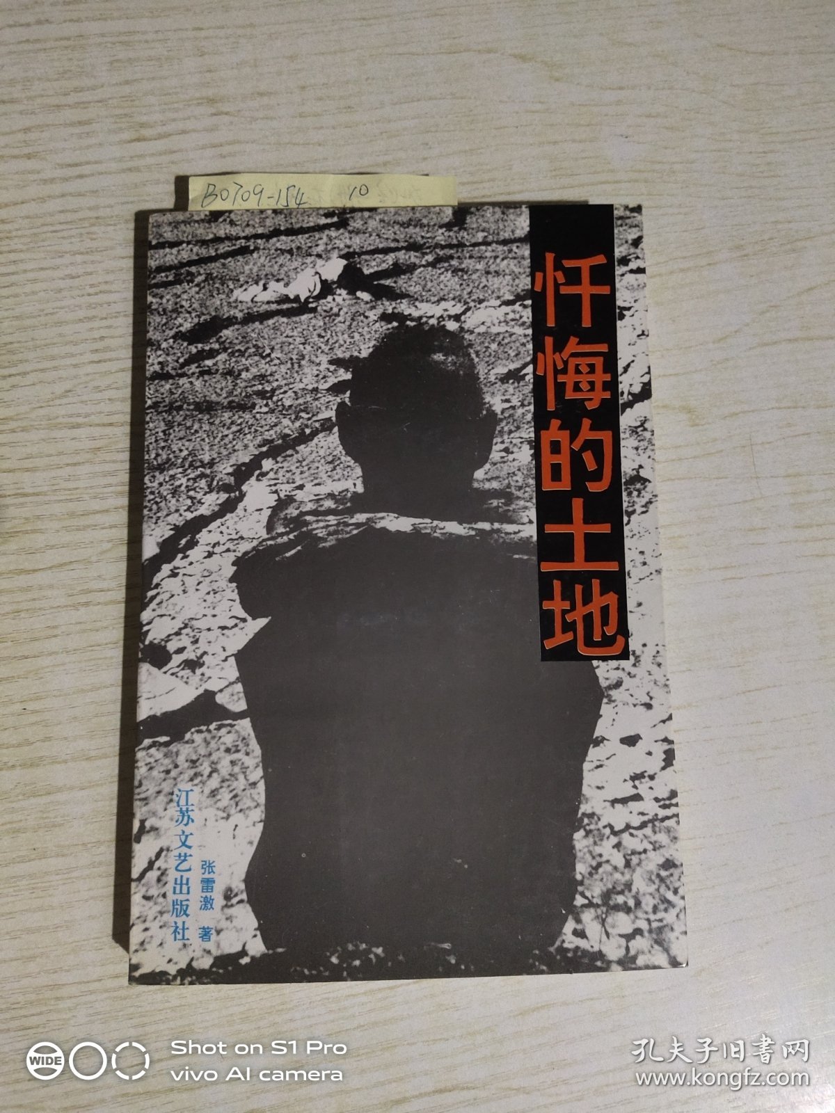 忏悔的土地