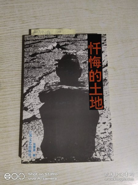 忏悔的土地