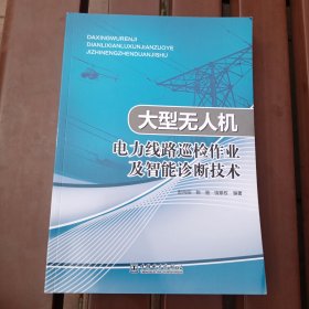 大型无人机电力线路巡检作业及智能诊断技术