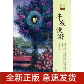 午夜漫游
