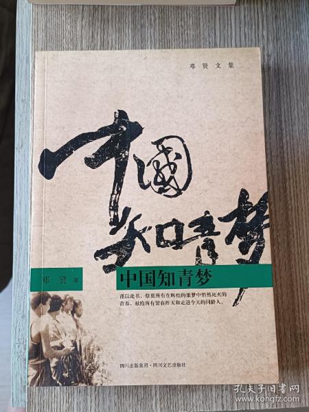 中国知青梦