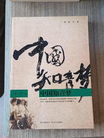 中国知青梦