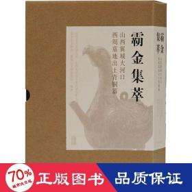 霸金集萃 山西翼城大河西周墓地出土青铜器(全2册) 古董、玉器、收藏 作者