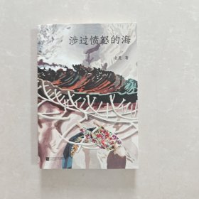 涉过愤怒的海