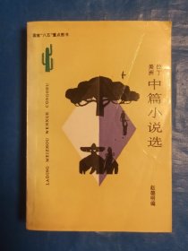 拉丁美洲中篇小说选