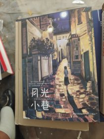 月光小巷（书皮有坏）