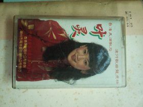 磁带：叶灵 情为何物