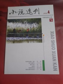 小说选刊 2009-4