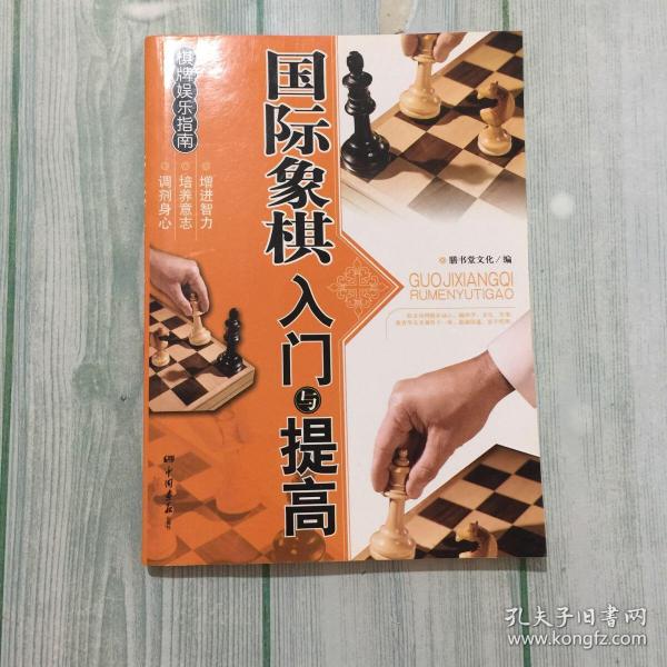 棋牌娱乐指南：国际象棋入门与提高