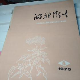 湖北卫生1975年第2，3，4期包括农村卫生工作专辑