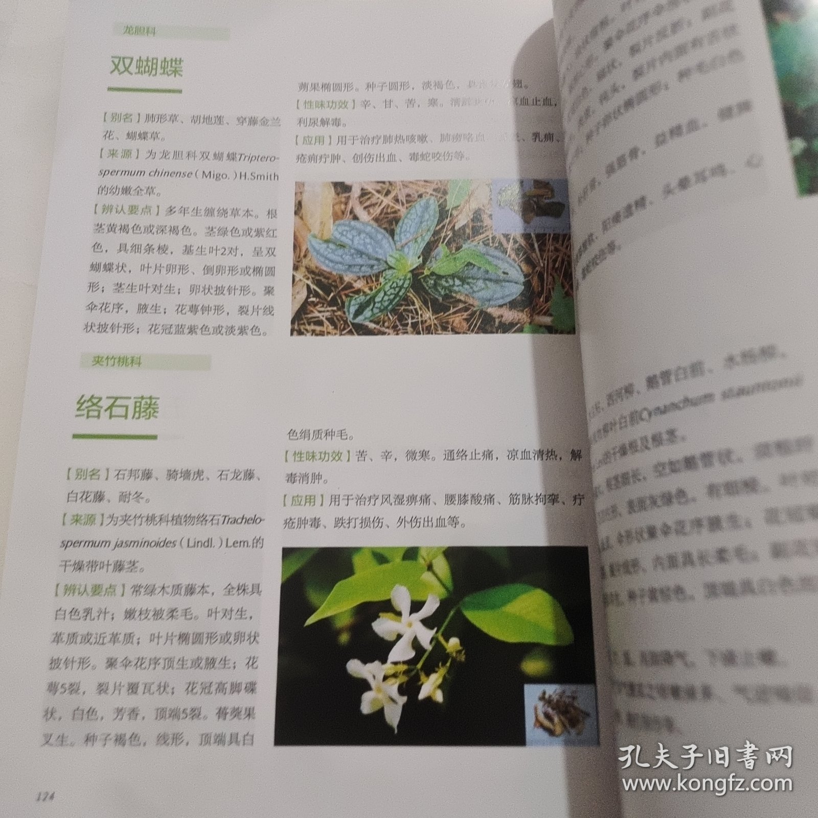 江西常见中草药图谱