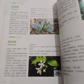江西常见中草药图谱