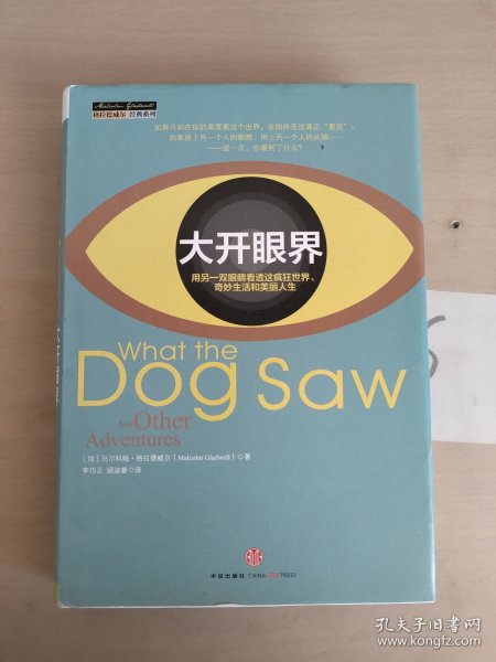 大开眼界：用另一双眼睛看透这疯狂世界、奇妙生活和美丽人生